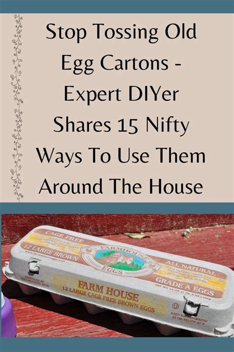 Don T Throw Away Old Egg Cartons Here Are Fun Ways To Use Them