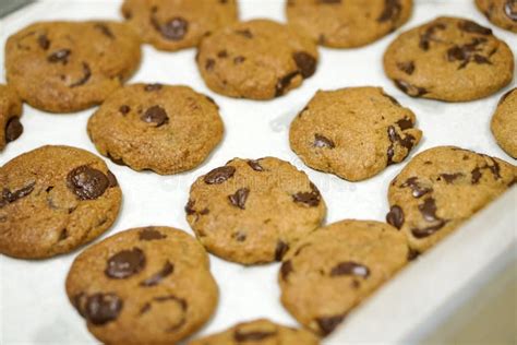 Baking Fresh Homemade Chocolate Chip Cookies On Tray Stock Photo