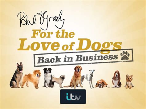 Watch Paul Ogrady For The Love Of Dogs Prime Video