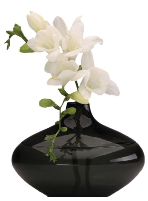 Vase PNG