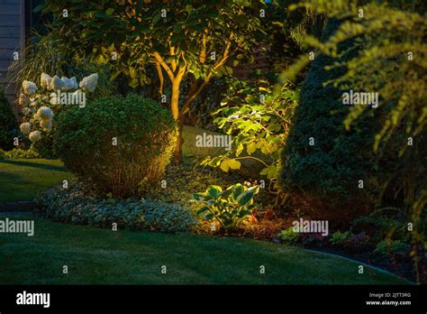 landscaped garden evening illumination idea spot lighting