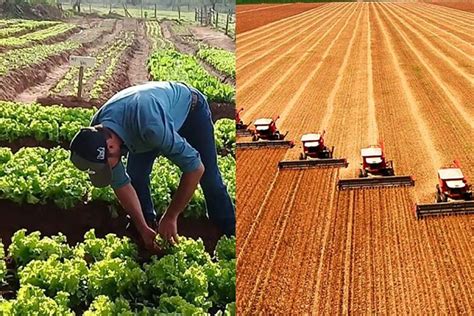 Você sabe a diferença entre agricultura e agronegócio Entenda aqui