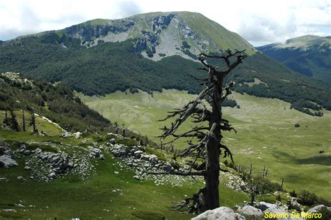 I Sentieri Del Parco Nazionale Del Pollino Parco Nazionale Del Pollino