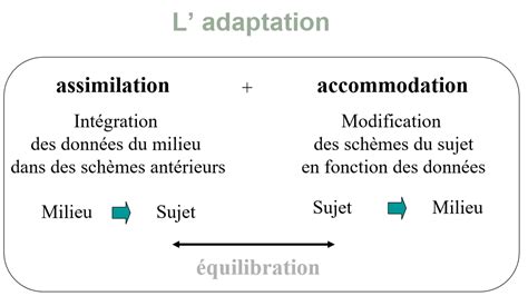 Tableau Des étapes De Développement De Piaget