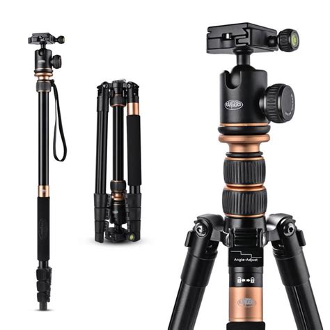 25 Best Tripods For Dslr 2024 To Take Click Better Photos