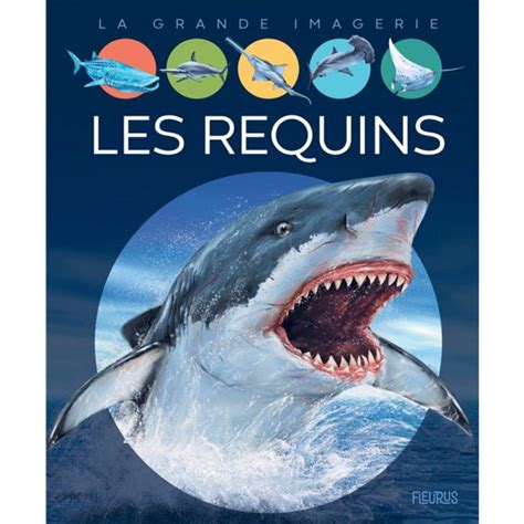 La Grande Imagerie Les Requins Diveinprogress