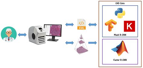 Computer Aided Diagnosis Cad System Overview The Pathologist Can Download Scientific Diagram