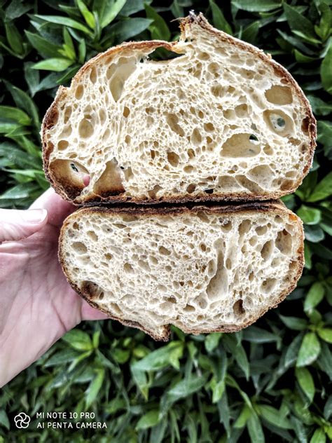 RECIPE & MEDIA: CP-SOURDOUGH BIGA BREAD (English / Deutsch / Espanol ...