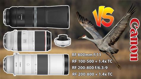 Canon 200 800 Vs 800 F 11 Vs 100 500 1 4x TC Birds In Flight With