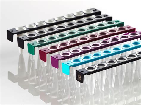 PCR Tube Strip 8 Well PC Frame Azenta Life Sciences