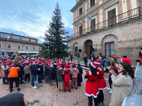 Acceso L Albero Di Natale Con Gli Addobbi Realizzati Dai Bambini Con