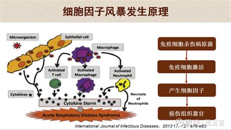 独家解密新冠病毒感染诱发的细胞因子风暴丨医麦课堂 识别图中二维码，观看完整课程视频 在新型冠状病毒患者的治疗过程中，有些病人早期发病并不十分