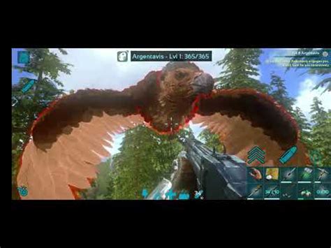 Hunting Birds Argentavis D Ark Survival Evolved YouTube