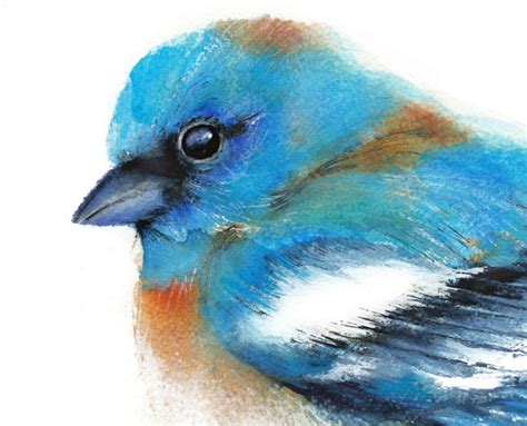 Bluebird Watercolor Painting. Giclee Print. Nature or Bird - Etsy