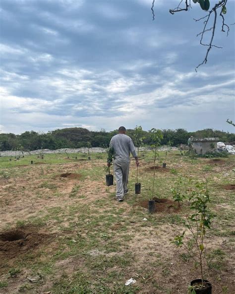 180 mudas de espécies arbustivas e árvores nativas são plantadas em