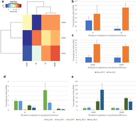 In Silico Expression Patterns Of Mirnas And Their Target Genes A Heat