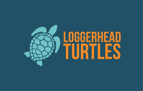 Loggerhead Turtles Poster — Kk Palmerino