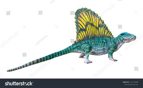 Dimetrodon Carnivore Genus Synapsids That Lived Stock Photo 1412176208