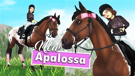 NEU Appaloosa Pferdekauf Gangarten SSO YouTube