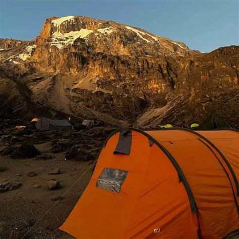 7 Días Escalada Ruta Machame Kilimanjaro GetYourGuide