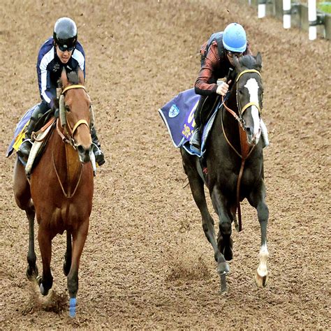 【nhkマイルc】素質馬ゴンバデカーブースがモレイラ騎手を背に坂路でびっしり「g1へのチャレンジは楽しみ」 2024年5月2日掲載