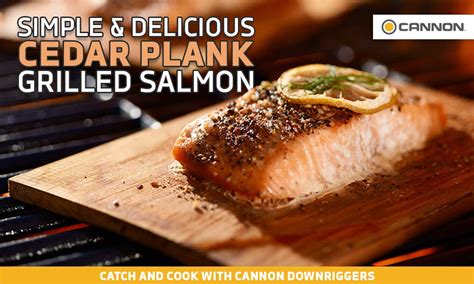 Simply Delicious Cedar Plank Grilled Salmon Recipe Cannon