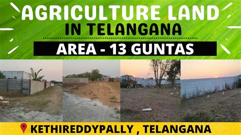 Kanakamamidi Guntas Agriculture Farm For Sale Moinabad