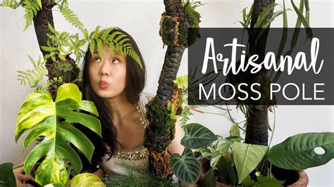 Diy Artistic And Natural Moss Pole Your Plants Deserve Full Tutorial Youtube