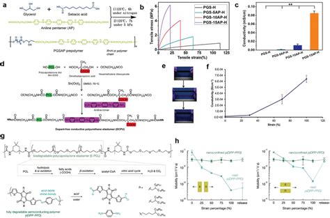 The Biodegradable Polyurethane Elastomers A Schematic Of The