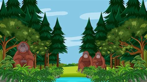 Free Vector Orangutan In Forest Or Rainforest Scene With Many Trees