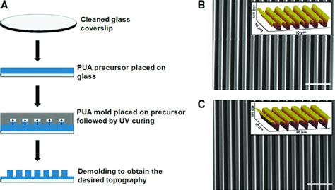 Fabrication and characterization of large-area,... | Download ... 