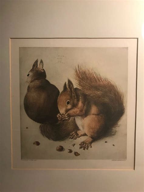 Albrecht Durer Two Squirrels One Eating A Hazelnut Gravure Hanfstaengl