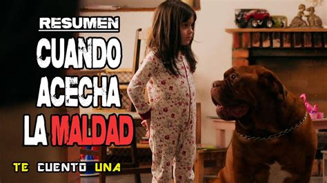 Cuando Acecha La Maldad La Peli De La Escena Viral Del Perro