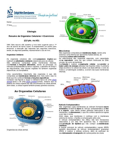 Estrutura E Função Das Organelas Celulares Várias Estruturas