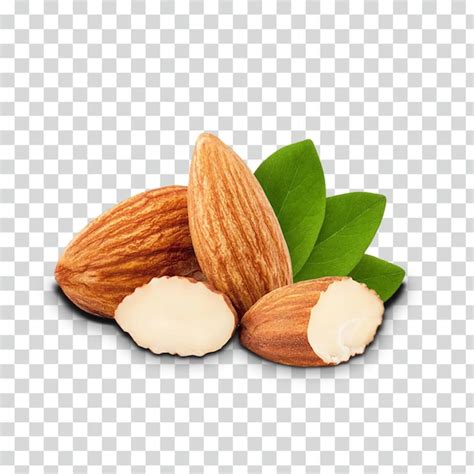 Premium Psd Almonds With Leaves