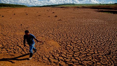 Chile enfrenta la peor sequía en medio siglo Actualidad Ganadera