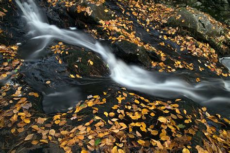 Cae Sobre Piedras Negras Oto O Cascada Arroyo Luz Del D A Medio