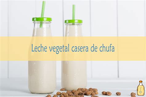 Leches Vegetales Caseras Frescas No Pasteurizadas Y Sin Conservantes