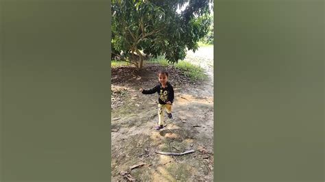 Collecting Leaf 🍃 For His Momমা এর জন্য গাছের পাতা আনার চেষ্টা🥰💕😍 Newsong Love Youtube Youtube