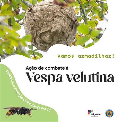 Vamos Armadilhar A Es Para Combater A Vespa Velutina Agenda