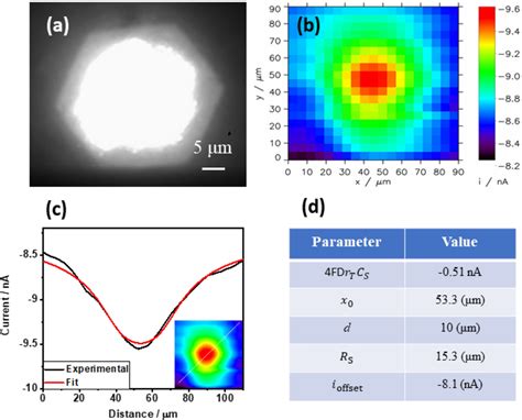 (a) Optical image of α-Fe2O3 substrate illuminated with 100 × objective ...