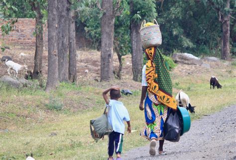 An Arusha Safari is a great beginner's introduction to Tanzanian wildlife