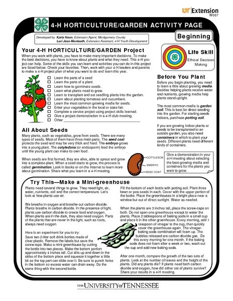 4 H Horticulturegarden Activity Page Beginning Worksheet For 4th 5th Grade Lesson Planet