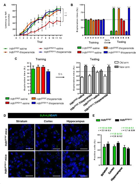 Thioperamide Chronic Treatment Prevents Motor Learning Long Term