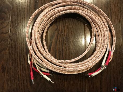 Kimber Cable 8TC 8 Ft Bi Wire Speaker Cables Photo 5086142 Canuck