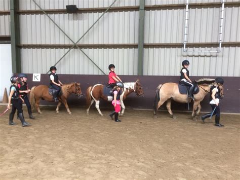 Manege Manege Stal Van Brenk