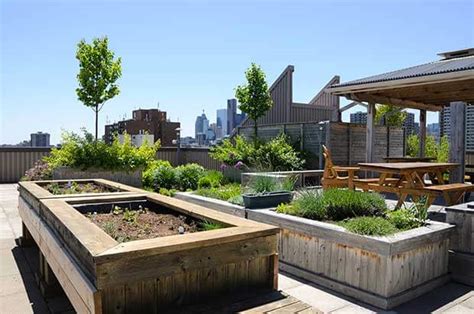 What To Consider When Designing And Building Your Own Rooftop Or