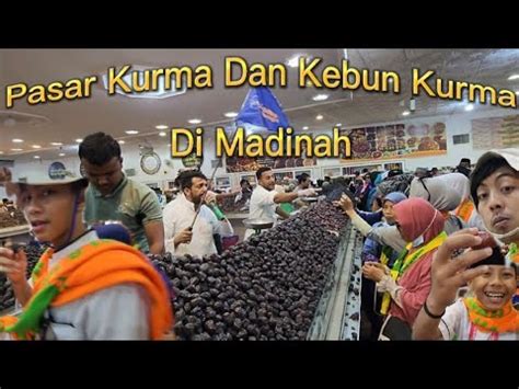 Pasar Kurma Dan Kebun Kurma Madinahkurma Ajwa Sampai Real