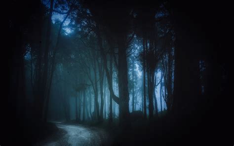 Landscape Forest Dark Black Dirt Road Mist Trees Path Wallpapers