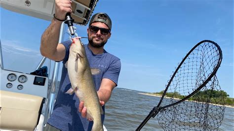 Chesapeake Bay Catfish Catch Clean Cook Youtube